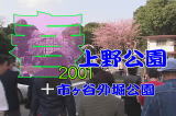 「春・上野公園」を再生